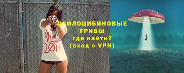 ГАЛЛЮЦИНОГЕННЫЕ ГРИБЫ Алзамай